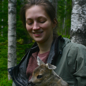 Tagging Roe Deer in Sweden.