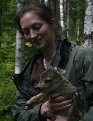 Deer monitoring project in Sweden